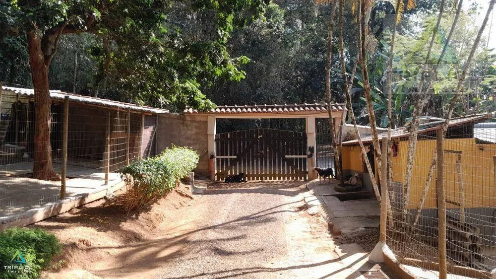 Sítio, 2 quartos, 10000 m² - Foto 3