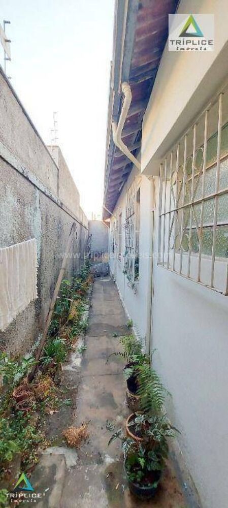 Casa, 4 quartos, 148 m² - Foto 4