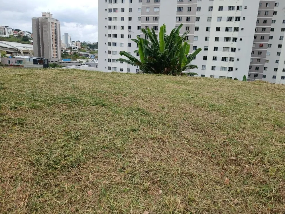 Terreno, 312 m² - Foto 4