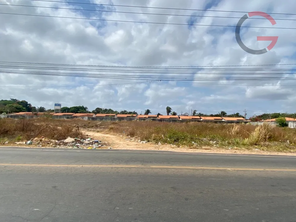 Terreno, 10000 m² - Foto 4