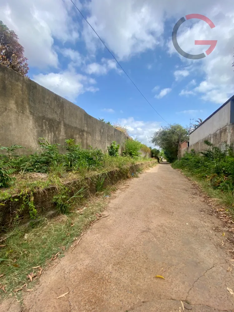 Terreno, 10000 m² - Foto 6