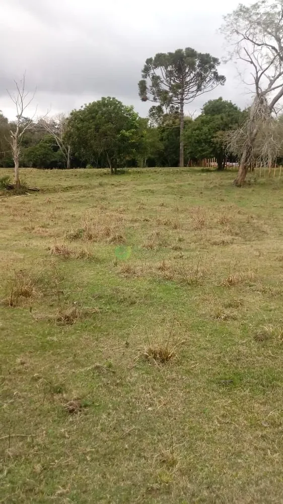Terreno, 1560 m² - Foto 1