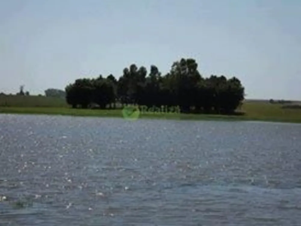 Fazenda, 4 hectares - Foto 4