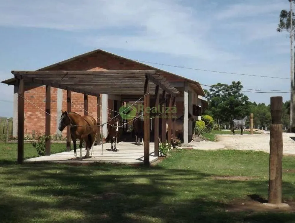 Fazenda, 4 hectares - Foto 2
