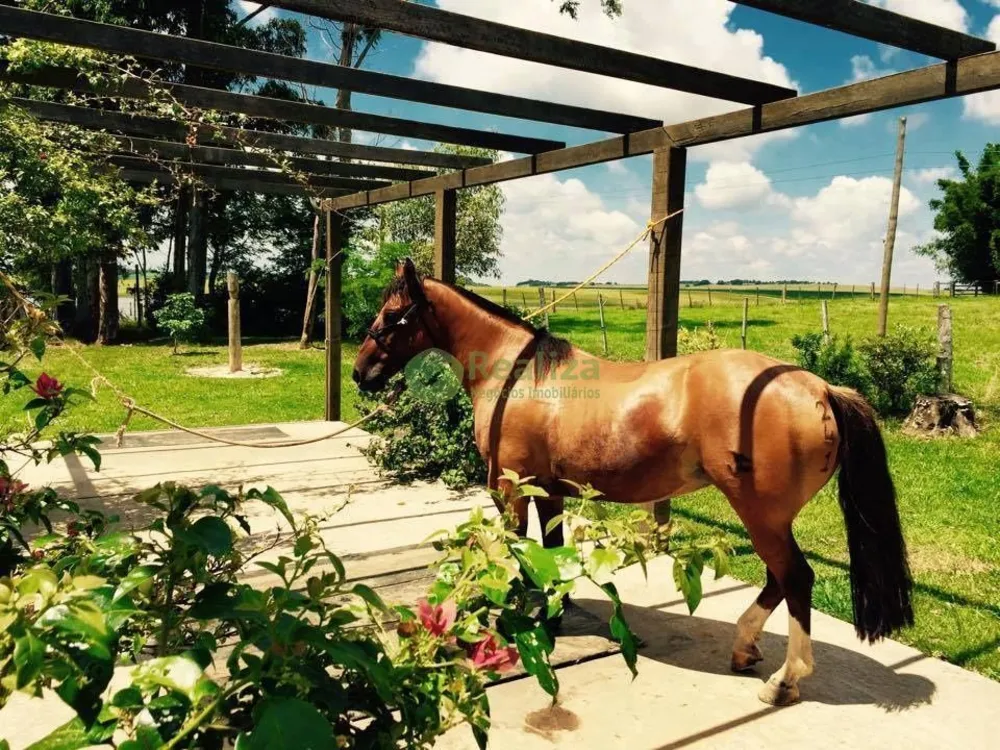 Fazenda, 4 hectares - Foto 3