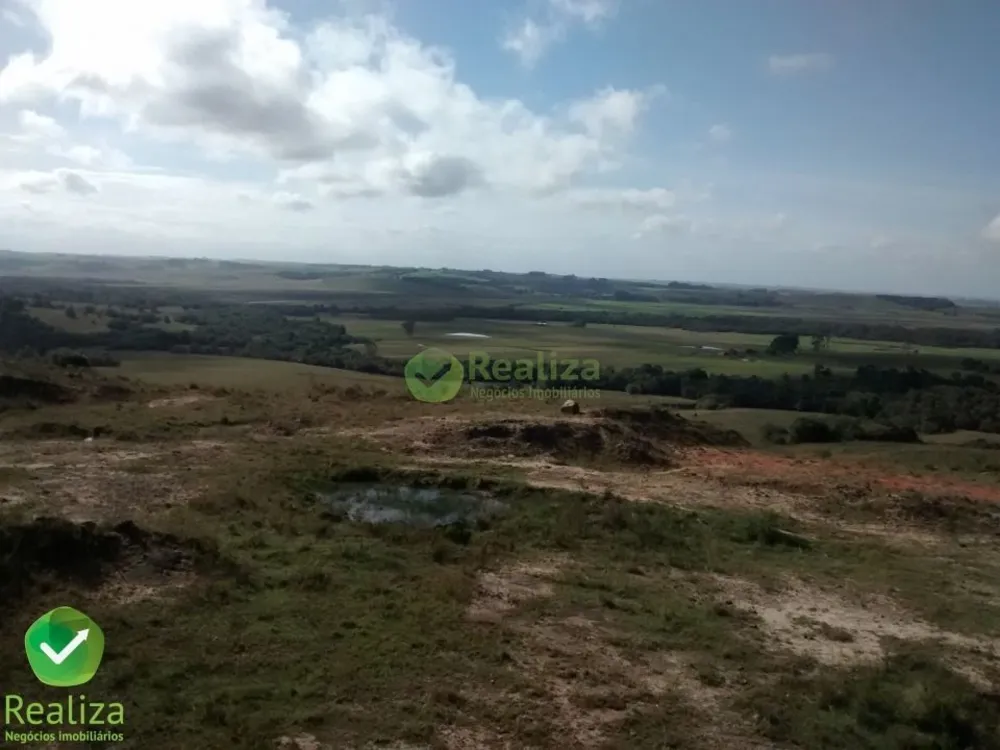 Sítio, 15 hectares - Foto 4