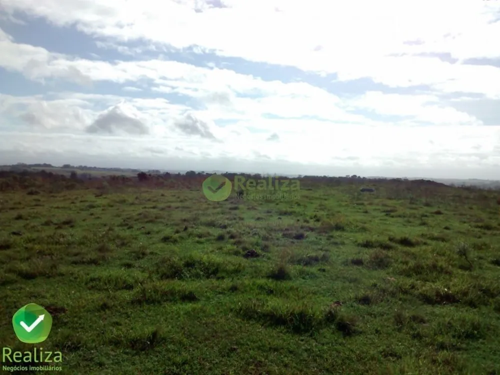 Sítio, 15 hectares - Foto 1