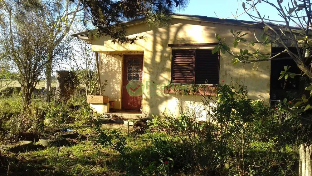 Sítio, 4 quartos, 5 hectares - Foto 1