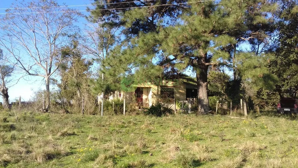Sítio, 4 quartos, 5 hectares - Foto 3