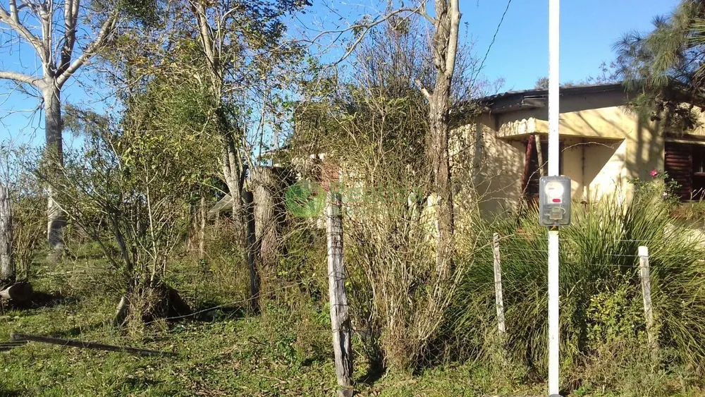 Sítio, 4 quartos, 5 hectares - Foto 4