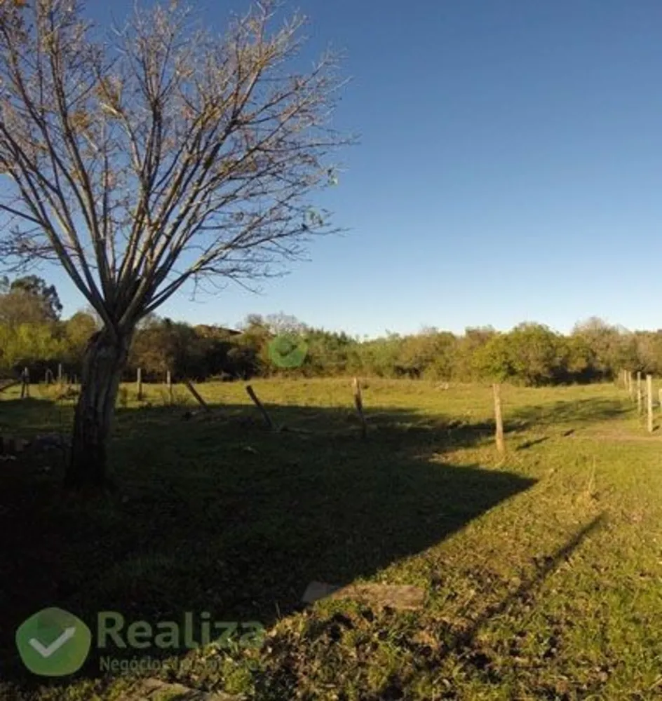 Fazenda, 1 hectares - Foto 4