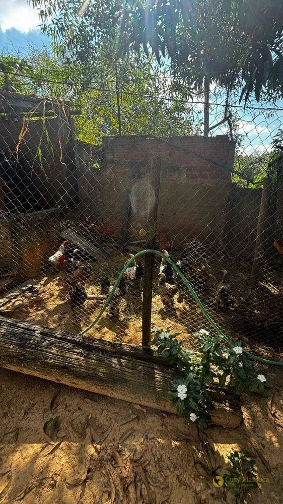 Chácara, 3 quartos, 2650 m² - Foto 11