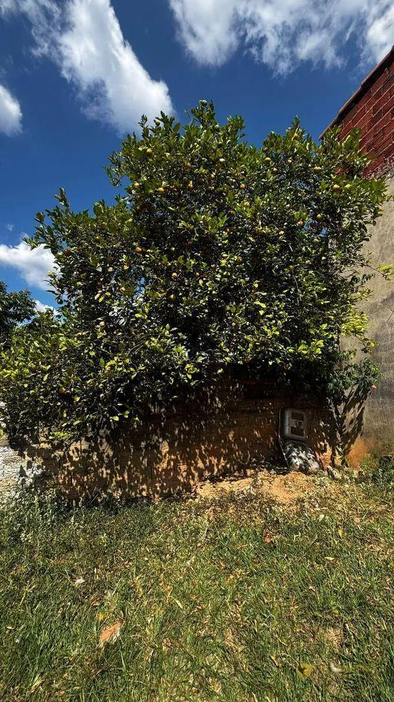 Chácara, 3 quartos, 2650 m² - Foto 12