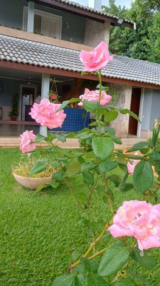 Casa, 3 quartos, 649 m² - Foto 5