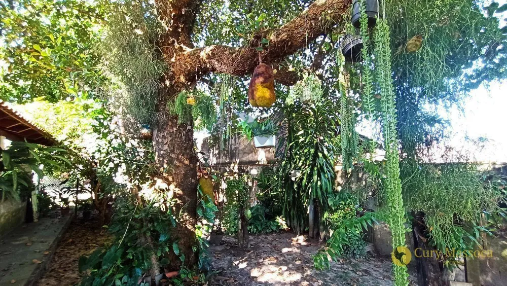 Chácara, 3 quartos, 1000 m² - Foto 14
