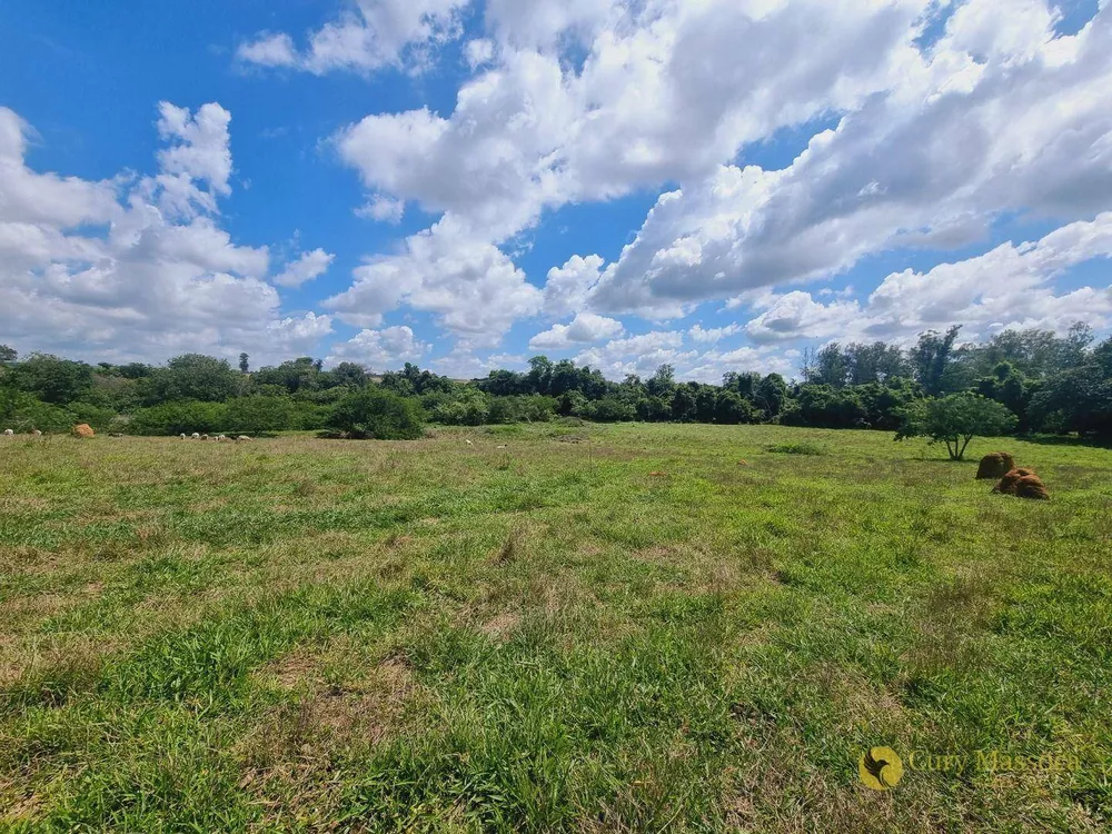 Chácara, 3 quartos, 2 hectares - Foto 8