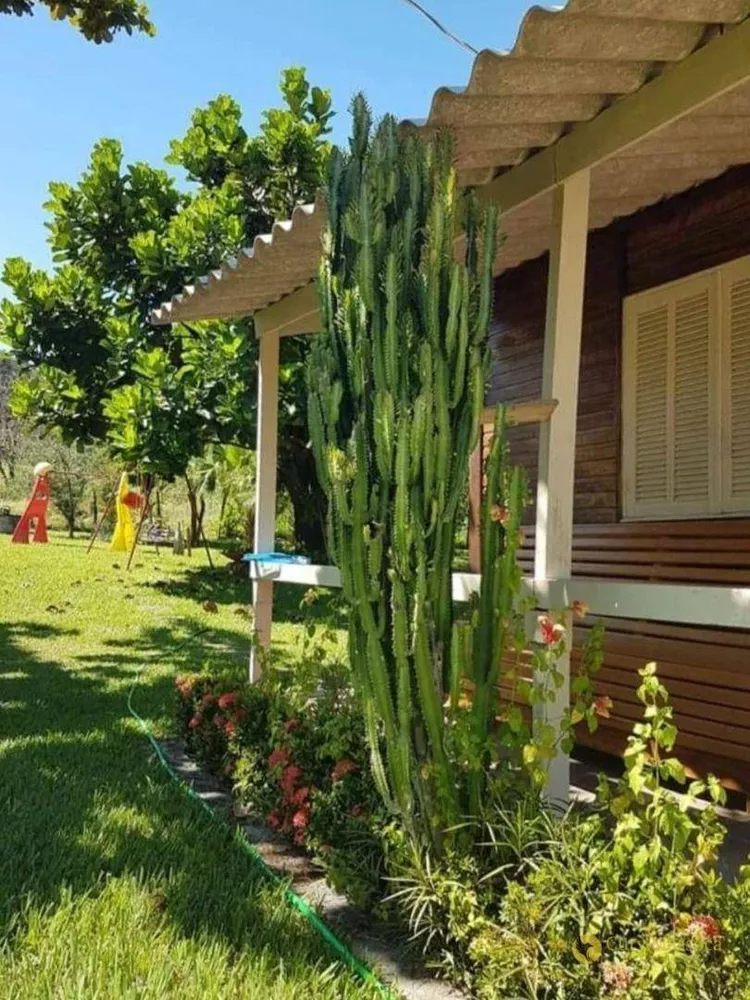 Chácara, 3 quartos, 5215 m² - Foto 3