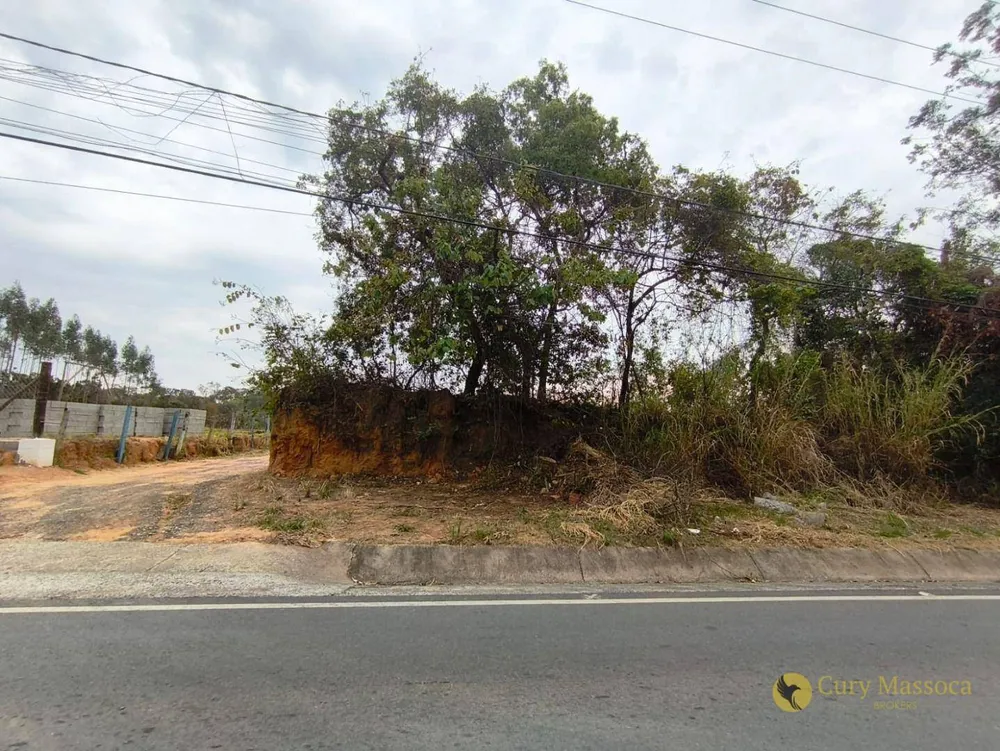 Terreno, 10000 m² - Foto 4