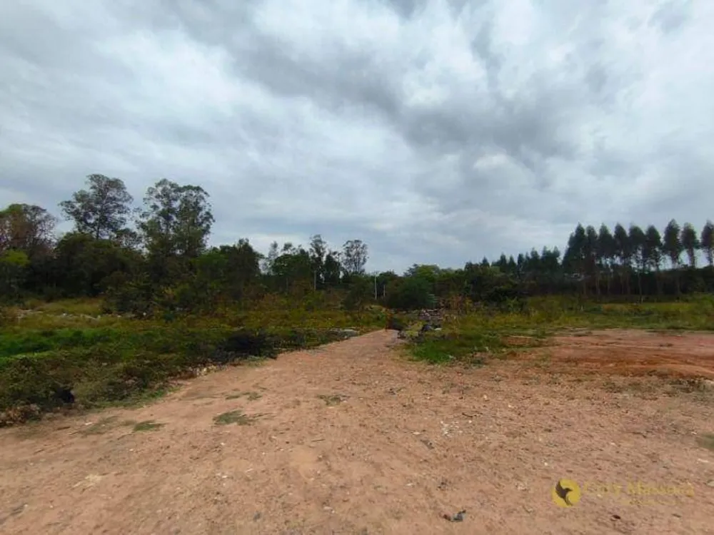 Terreno, 10000 m² - Foto 5