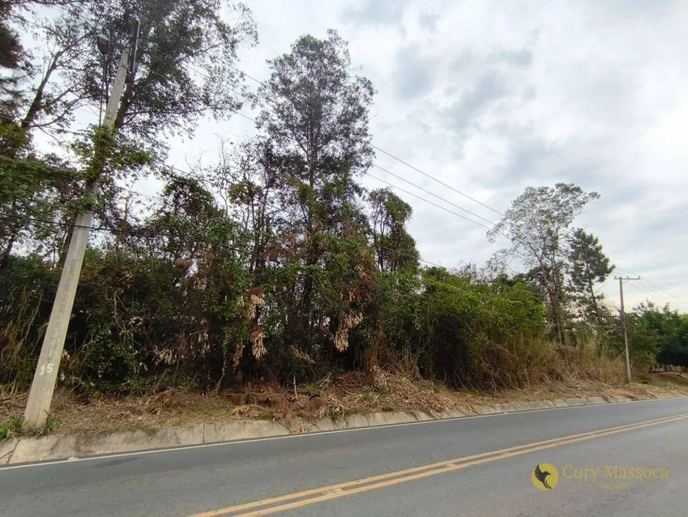 Terreno, 10000 m² - Foto 6