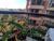 Apartamento, 3 quartos, 95 m² - Foto 29