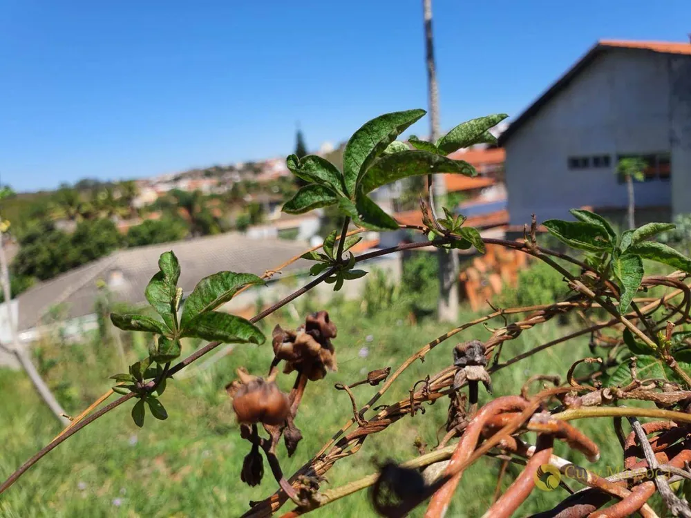 Terreno, 500 m² - Foto 8