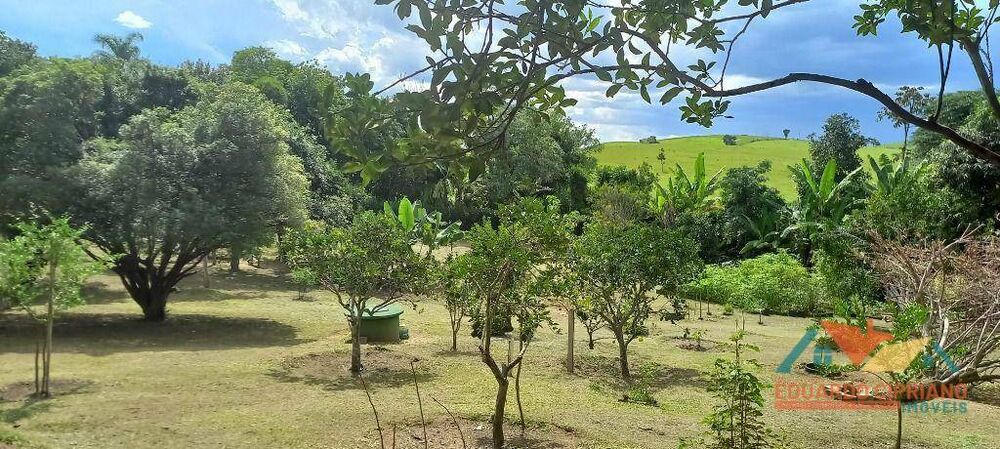 Chácara à venda com 4 quartos, 500m² - Foto 5