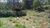 Terreno, 9106 m² - Foto 9
