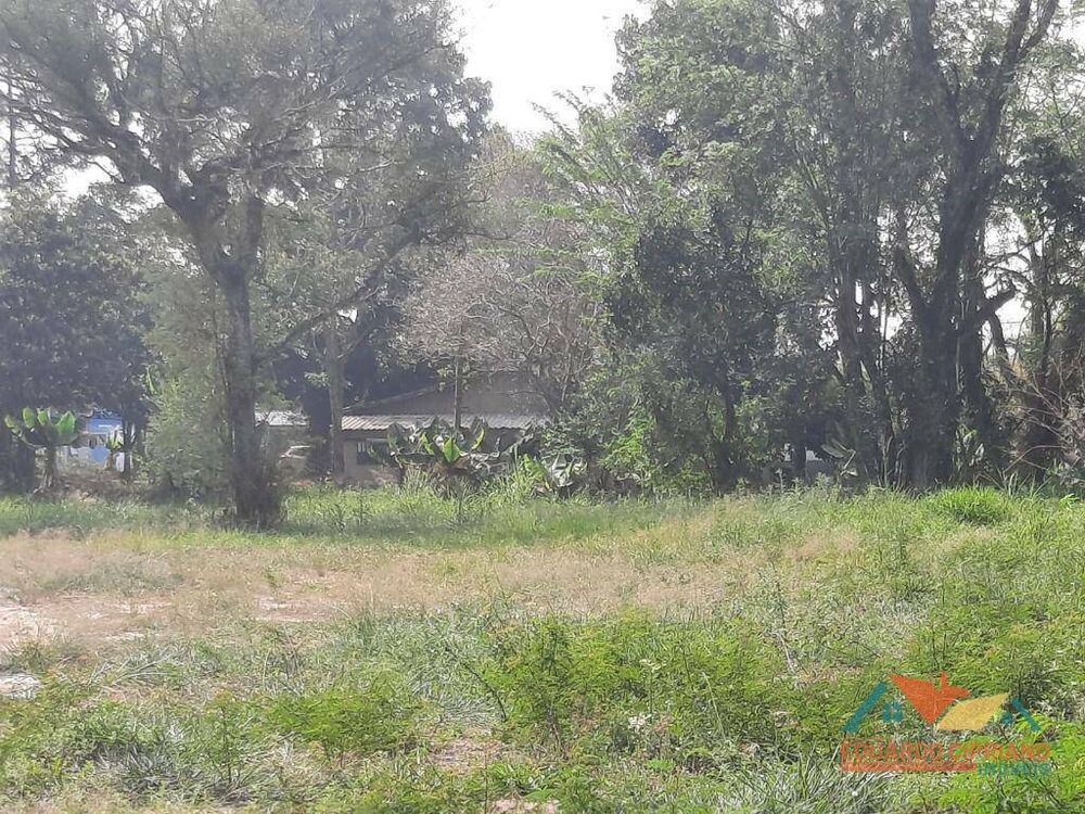 Terreno, 7315 m² - Foto 7