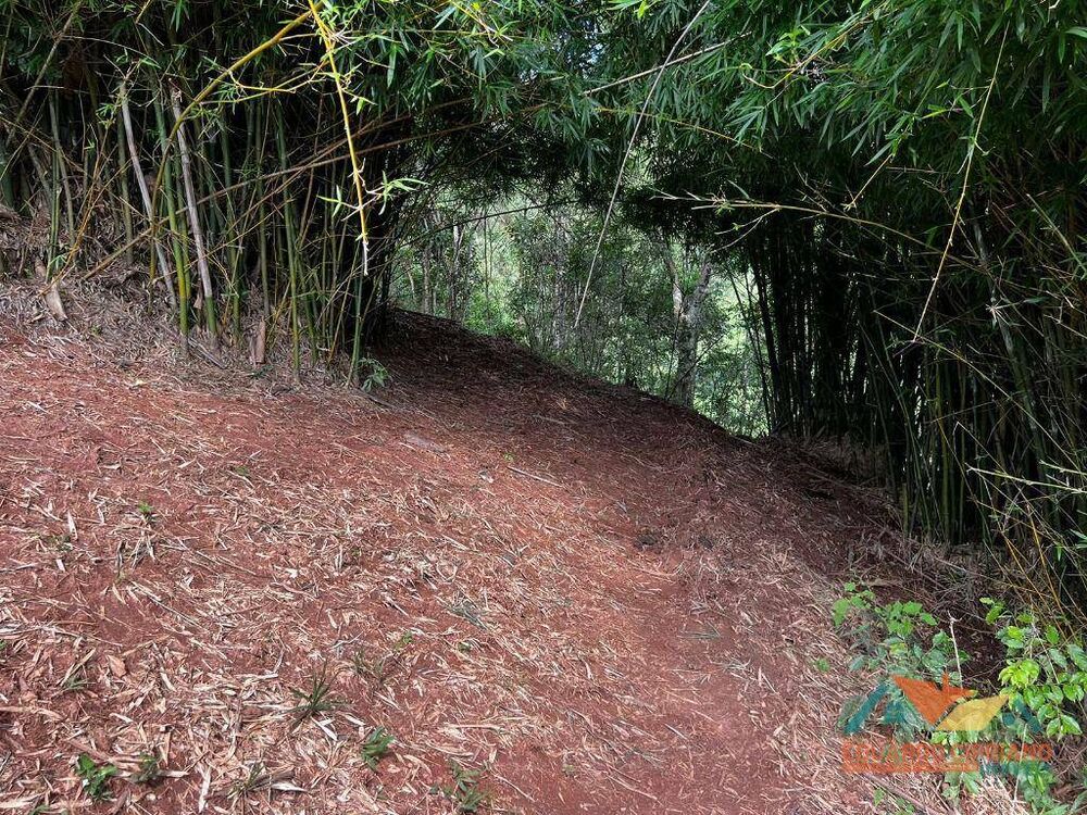 Chácara à venda, 1m² - Foto 6
