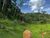 Chácara, 2 hectares - Foto 13