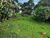 Chácara, 2 hectares - Foto 16