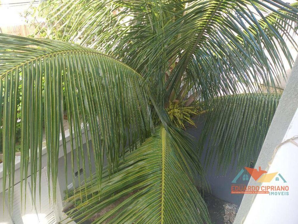 Casa à venda com 3 quartos, 240m² - Foto 16