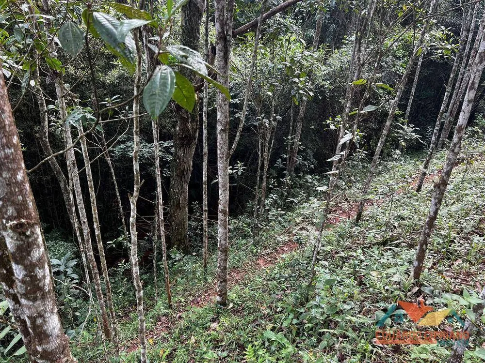 Chácara, 2 hectares - Foto 2