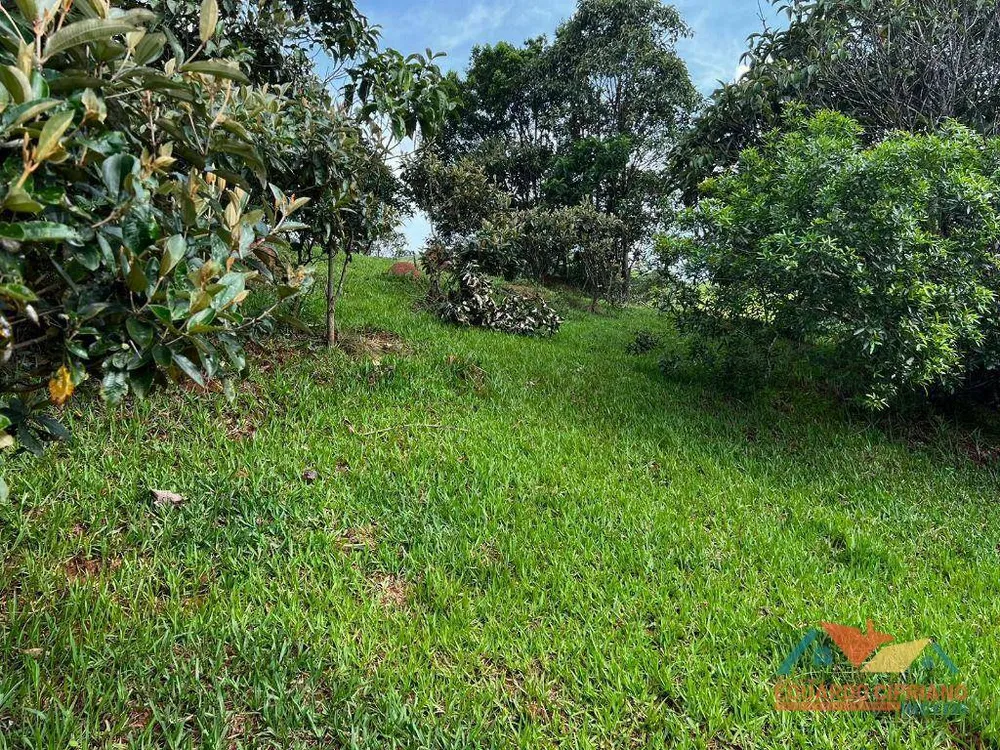 Chácara, 2 hectares - Foto 3