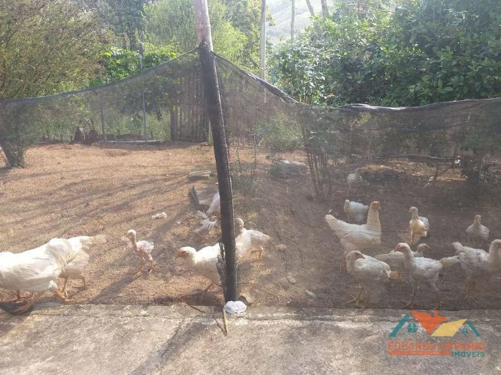 Sítio, 3 quartos, 3 hectares - Foto 1