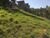 Terreno, 9106 m² - Foto 4
