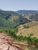 Loteamento e Condomínio, 5 hectares - Foto 3