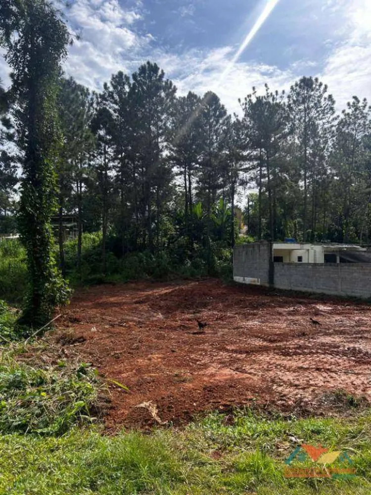 Terreno, 498 m² - Foto 4