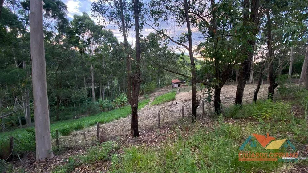 Chácara à venda com 3 quartos, 18400M2 - Foto 4