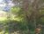Terreno, 780 m² - Foto 3