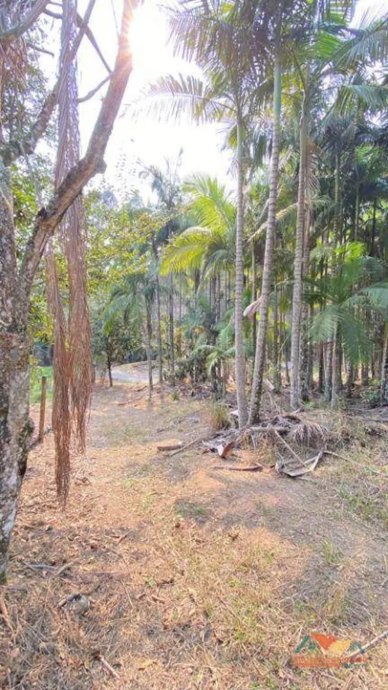 Terreno, 5300 m² - Foto 1