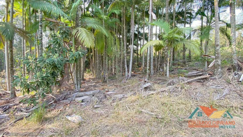 Terreno, 5300 m² - Foto 3