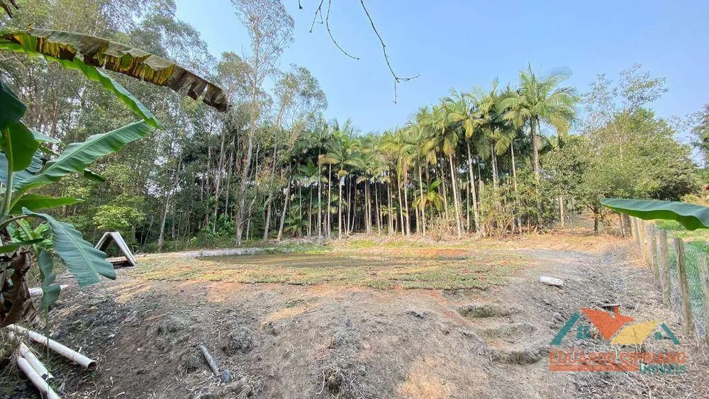 Terreno, 5300 m² - Foto 2
