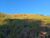 Terreno, 700 m² - Foto 5