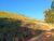 Terreno, 700 m² - Foto 4