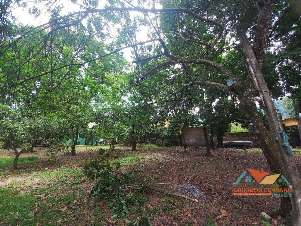 Casa, 6 quartos, 300 m² - Foto 8