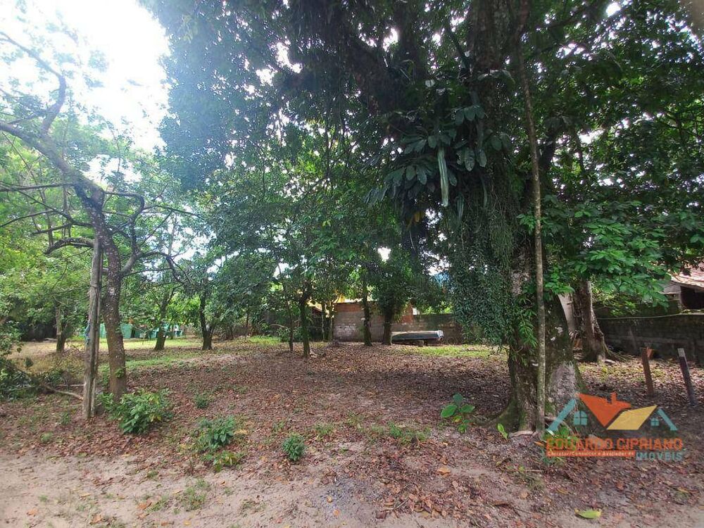 Casa, 6 quartos, 300 m² - Foto 17