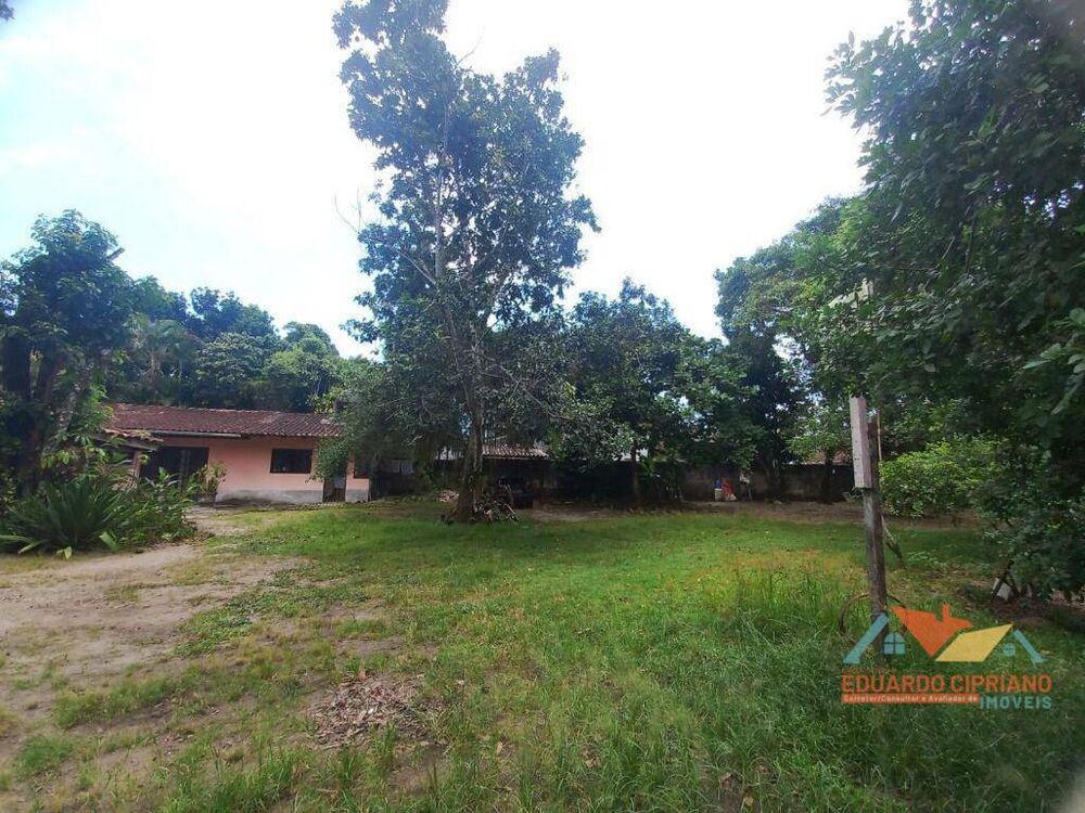 Casa, 6 quartos, 300 m² - Foto 6