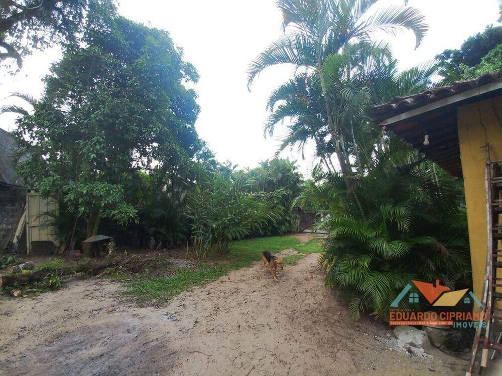Casa, 6 quartos, 300 m² - Foto 4